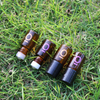 Wholesale 2ml Amber Glass Sample Rollers - Gold Logo Customizable Mini Roller Bottles